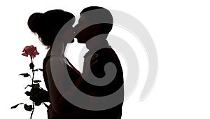 Silhouette of a young couple in love on white isolated background, man kissing woman and holding rose flower, concept love