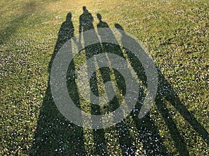 Silhouette of a young family on green grass in the park casted by a long shadow. Concept of happiness and celebrating family live
