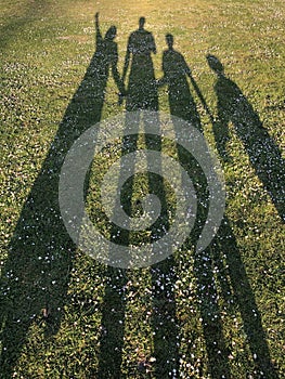 Silhouette of a young family on green grass in the park casted by a long shadow. Concept of happiness and celebrating family live photo