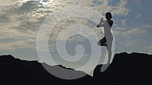 Silhouette of Young Fit Woman Gracefully Practices the Vrksasana Pose. Girl on Outdoor Yoga Session. Sport Lady