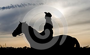 Silhouette of a young girl with a hat on a horse on the background of the sunset sky