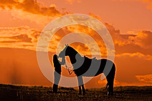 Silhouette of a young girl. Kissing a horse at sunset