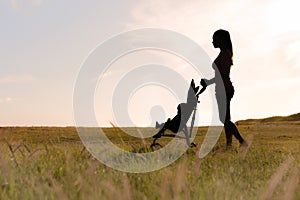 Silhouette of a young mother pushing her child in a stroller across a grassy field