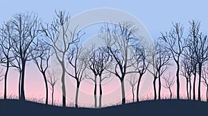 Silhouetted bare trees against a twilight sky