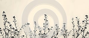 Silhouetted Botanicals: Minimalist Flora on a Blank Canvas. Concept Botanical Silhouettes,