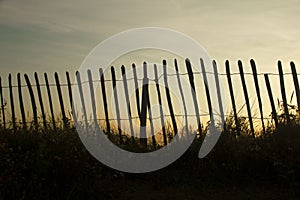 Silhouetted fence against sunset
