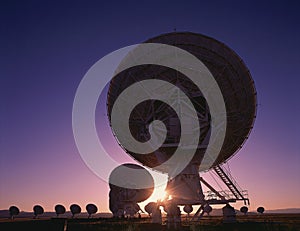 Silhouetted field of Large radio telescope dishes