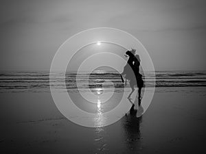 Silhouetted Horse & Rider on Black & White Sunrise