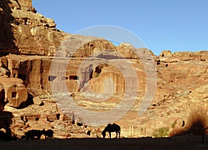 A silhouetted horse stands in the midst of Petra outside Wadi Musa Jordan