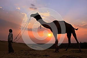 Silhouetted person with a camel at sunset, Thar desert near Jaisalmer, India