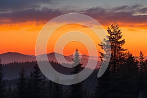 Silhouetted pine trees on a hill with a mountainous sunset backdrop