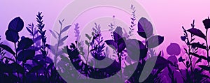 Silhouetted plants and flowers at dusk with purple gradient sky