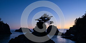 Silhouetted sea stacks in evening sky at Oregon Coast