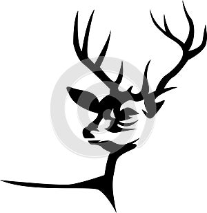 Silhouetted stag head