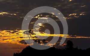 Silhouetted tree covered hilltop at Sunset.