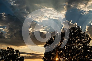 Silhouetted Trees Against A Summer Setting Sun