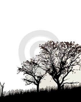 Silhouetted trees in countryside