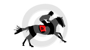 Racehorse illustrations photo