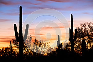 Silhouetten in Desert