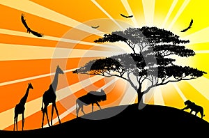 Silhouettes of africa animales on orange photo