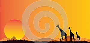 Silhouettes Of African Jungle Giraffe Sunset Safari Animals Vector