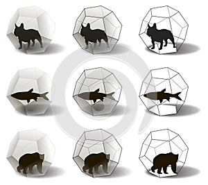 Silhouettes of animals in dodecahedra