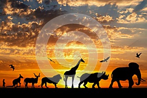 Silhouettes of animals on golden cloudy sunset