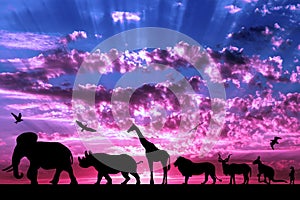 Silhouettes of animals on purple cloudy sunset