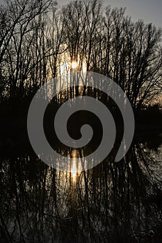 Silhouettes of bare trees along a lake, with bright sun shining through and reflection in the water unde a blue evening sky