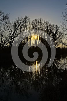 Silhouettes of bare trees along a lake, with bright sun shining through and reflection in the water unde a blue evening sky