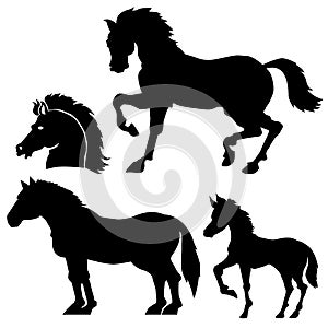 silhouettes of beautiful horses