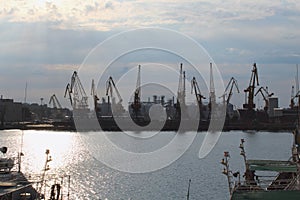 Silhouettes of big harbor cranes in the sea harbor with amazing sunlight