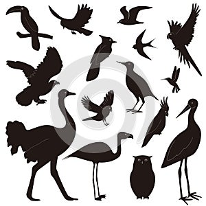 Silhouettes of birds in flight, crow, hummingbird, parrot, owl, eagle, stork