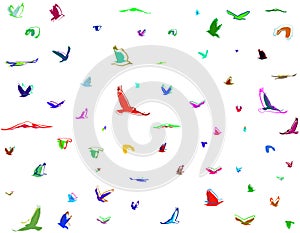 Silhouettes of birds