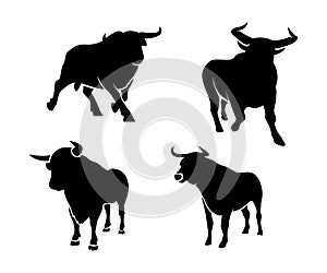 Silhouettes of bull