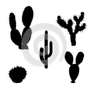 Silhouettes Cactus plants nature elements set.