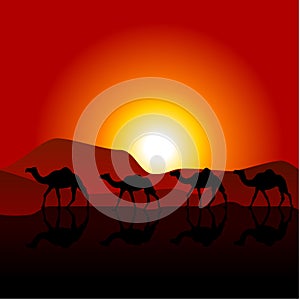 Silhouettes of caravan of camels