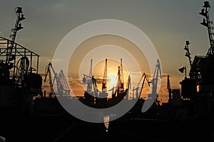 Silhouettes of cargo cranes at the port.