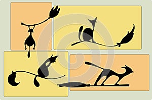 Silhouettes of the cats on brooms