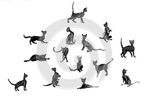 Silhouettes of cats wanercolor