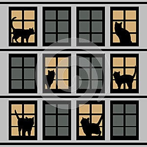 Silhouettes of cats in windows