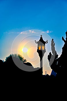 Silhouettes of chinese Lantern