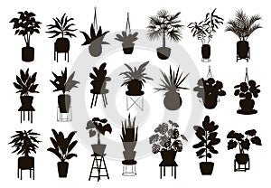 Silhouettes collection of decor house indoor garden plants in pots and stands photo