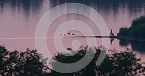 Silhouettes of couple on the lakeside watching swan family