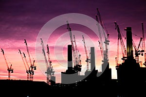 Silhouettes of cranes