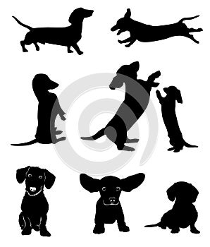 Silhouettes of dachshunds. Vector illustration.