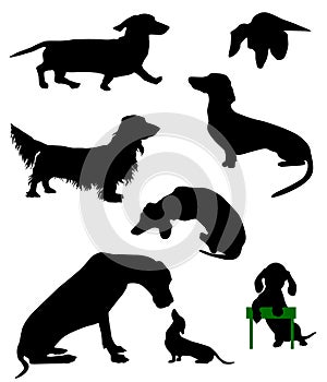 Silhouettes of dachshunds. Vector illustration.