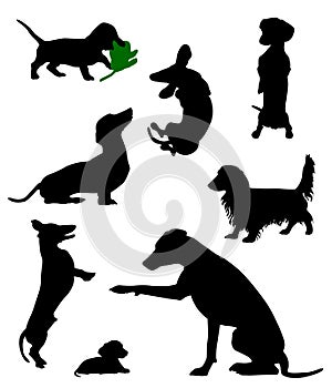 Silhouettes of dachshunds. Vector illustration.