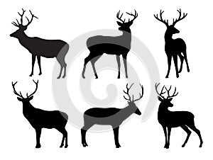 Silhouettes of deer and stags.