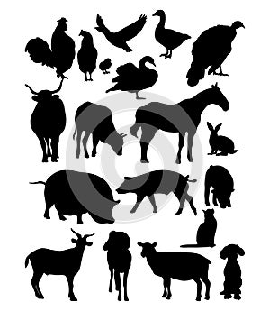 Silhouettes domestic farm animals and birds. Collection vector isolated hand drawings animals on white background for